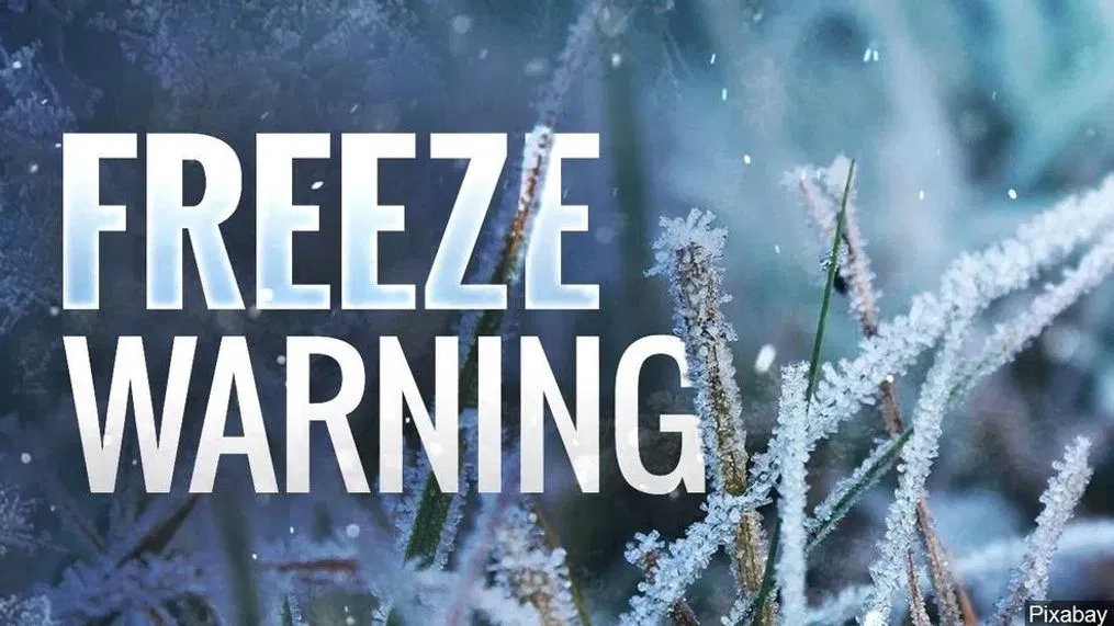 Hard Freeze Warning