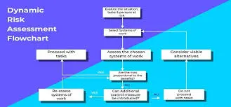 dynamic risk assessment